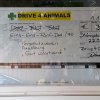 k-468_drive4animals_2018_gut